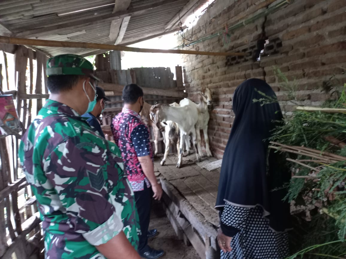 Kegiatan Monev Pelaksanaan APBDes Tahun 2022 di Desa Sanetan